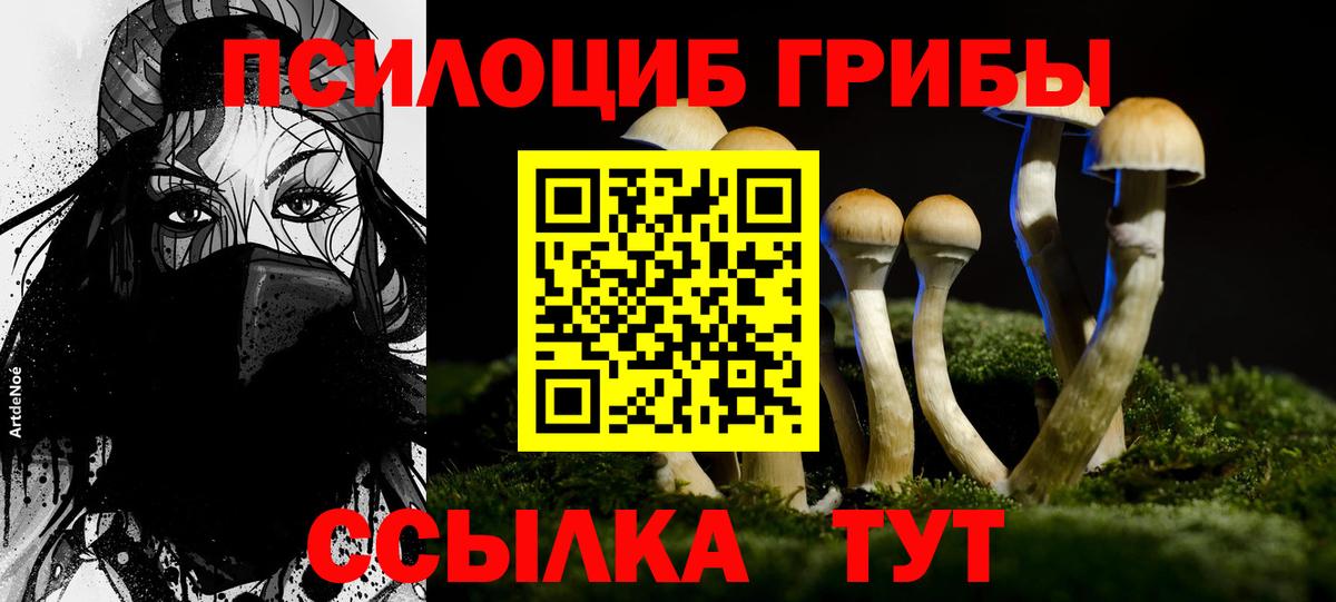 Псилоцибиновые грибы GOLDEN TEACHER Саяногорск